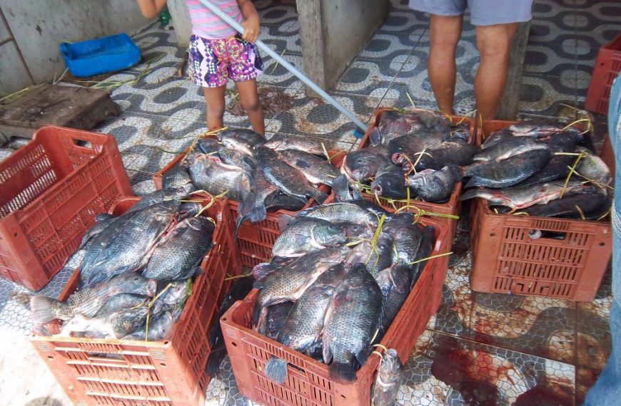 Gestão e operacionalização das Unidades Técnicas da Bahia Pesca